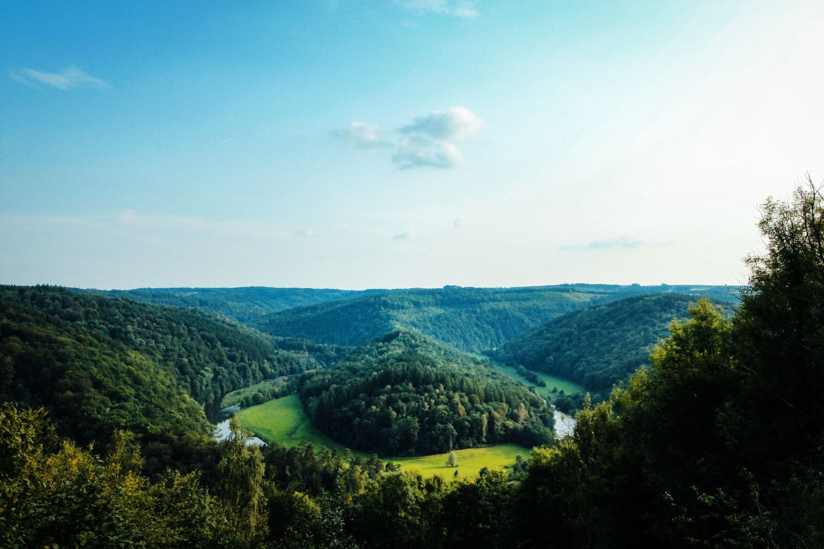 panorama foreste